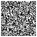 QR code with Chem-Netics Inc contacts