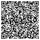 QR code with Cochrane Data Works contacts