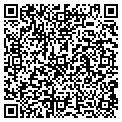 QR code with IBEW contacts
