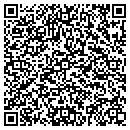 QR code with Cyber Optics Corp contacts