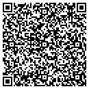 QR code with Professional Painters contacts