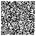 QR code with Store contacts