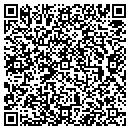 QR code with Cousins Painting David contacts