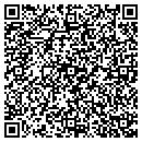 QR code with Premier Electric Inc contacts