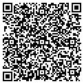 QR code with Amvets contacts