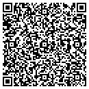 QR code with Carpet Works contacts