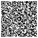 QR code with Carlin Consulting PC contacts