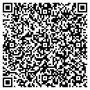 QR code with C K Business Service contacts