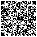 QR code with Castle Creek Co Inc contacts