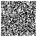 QR code with Binary Pulse contacts