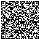 QR code with Professional Service contacts