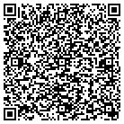 QR code with Bridges In Organization contacts
