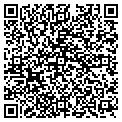 QR code with Cygnet contacts