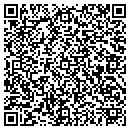 QR code with Bridge Technology Inc contacts