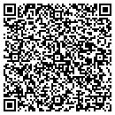 QR code with Pursuite Technology contacts