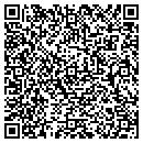 QR code with Purse Store contacts