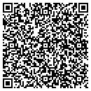 QR code with Chesapeake Press Inc contacts