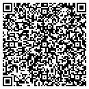 QR code with Chesapeake Canopies contacts