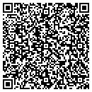 QR code with Psillas Group Assoc contacts