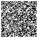 QR code with Sun Devil Auto contacts