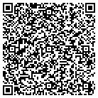 QR code with Baltimore Steel Storage contacts