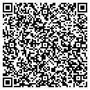 QR code with Blue Sky Factory Inc contacts