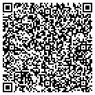 QR code with Public Auto Liquidators contacts