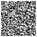 QR code with Chesapeake Vending contacts