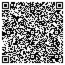 QR code with Carls Store Inc contacts