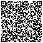 QR code with Blimpie Subs & Salads contacts