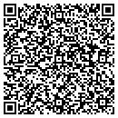 QR code with Borland Systems Inc contacts