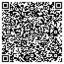 QR code with Puzzles Studio contacts