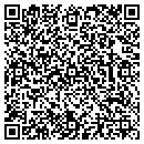 QR code with Carl Dewey Sours Jr contacts