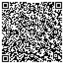 QR code with Producers Video Corp contacts
