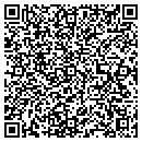 QR code with Blue Swan Inc contacts