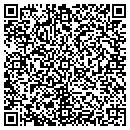 QR code with Chaney Consultanting Inc contacts
