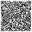 QR code with Pulse Communications Inc contacts