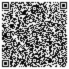 QR code with Baldwin Snow Management contacts