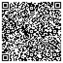 QR code with Public Library Systems contacts