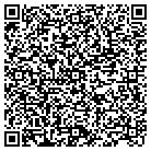 QR code with Professional Engineering contacts