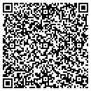 QR code with Chesapeake Gemstone contacts