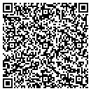 QR code with Chesapeake Drafting contacts