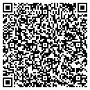 QR code with Puzzle Freak contacts