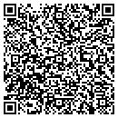 QR code with Pulse Finders contacts