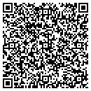 QR code with Pro Print One contacts