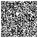 QR code with Capital Instruments contacts