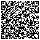 QR code with Blv Engineering contacts