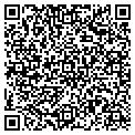 QR code with Analog contacts