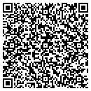QR code with Puma Designs contacts