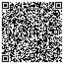 QR code with Precious Stone contacts